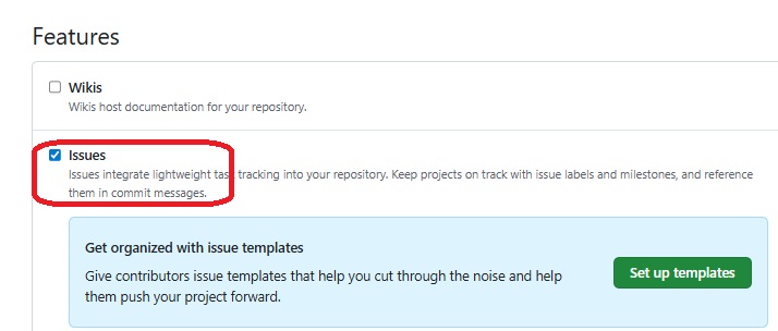GitHub issue 활성화